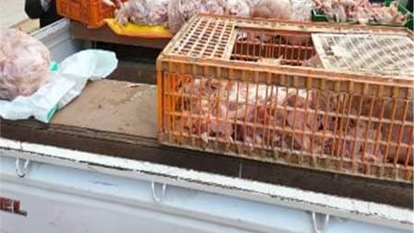 صورة  ارشيفية