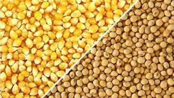 صورة  ارشيفية