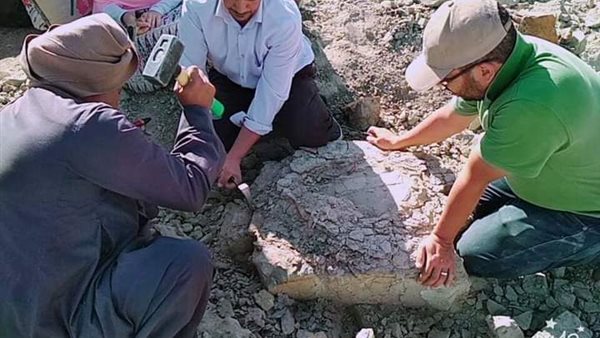 جانب من  اللقاء