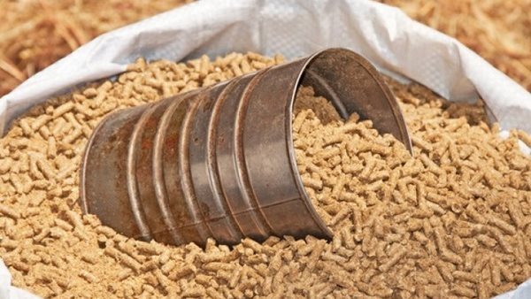 صورة  ارشيفية