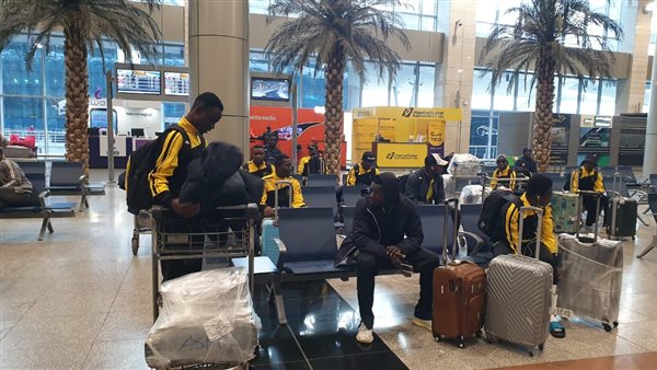 اسكو كارا التوجولى