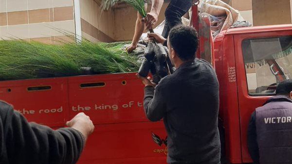 جانب من الاعمال 