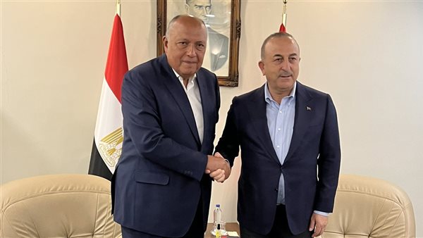 سامح شكري وزير الخارجية