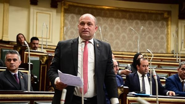  النائب أحمد رمزي