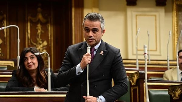  النائب أحمد فتحي