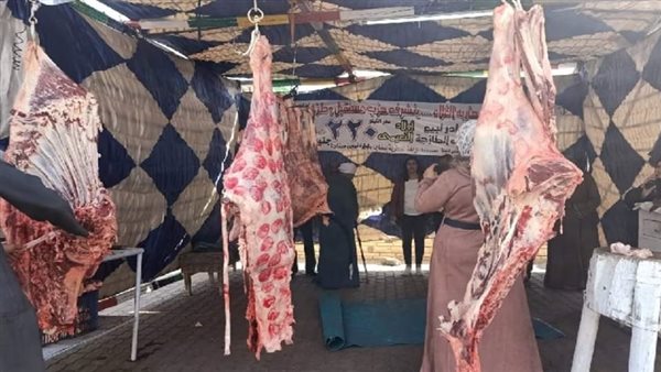 جانب من الفعاليات