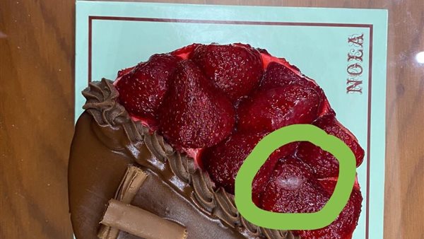 عفن بمنتجات نولا