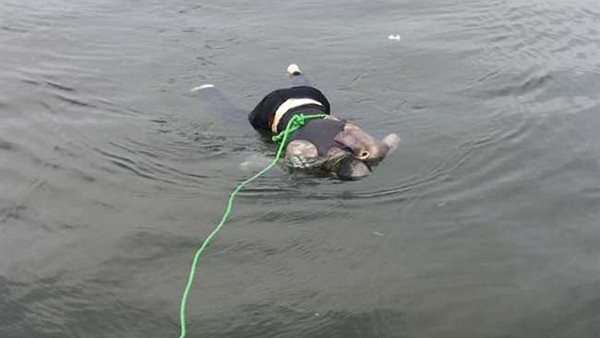 صورة  ارشيفية