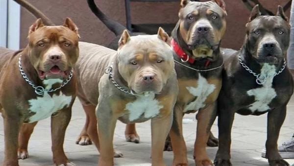 صورة  ارشيفية