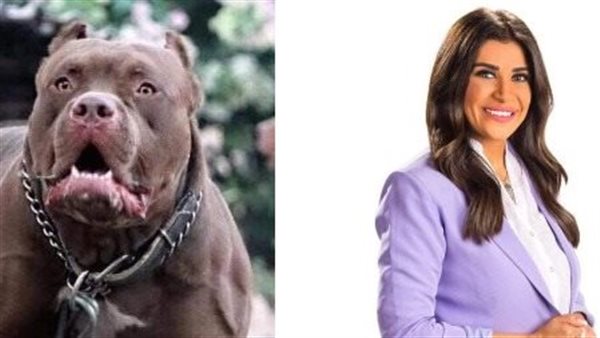 واقعة الاعلامية اميرة