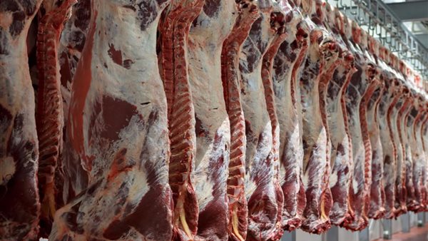 صورة  ارشيفية