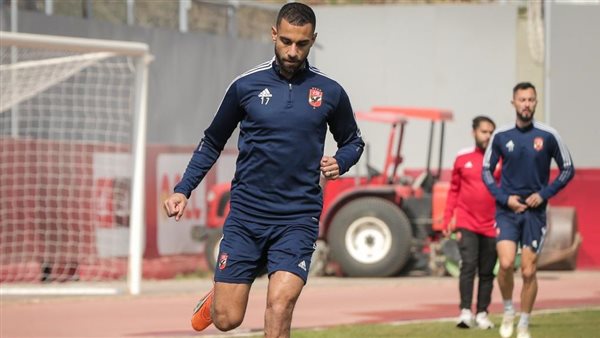 عمرو السولية