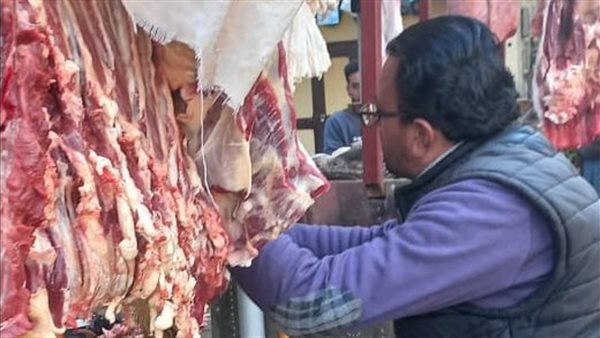 صورة  ارشيفية