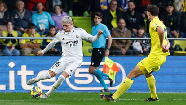 فيدي فالفيردي