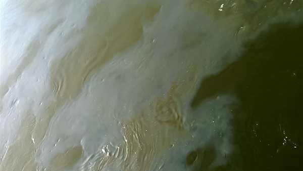 جانب من المياه