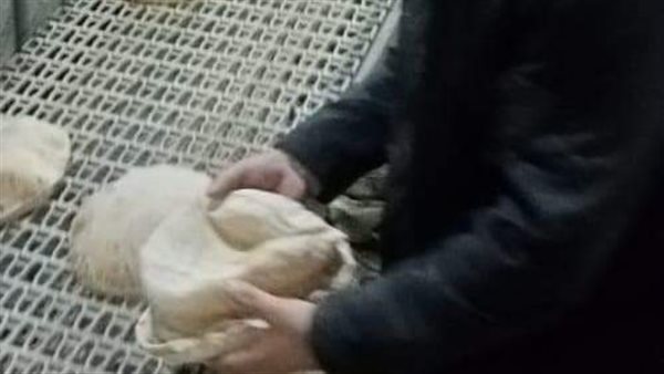 جانب من  اللقاء