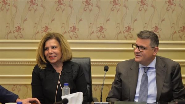 النائب طارق رضوان