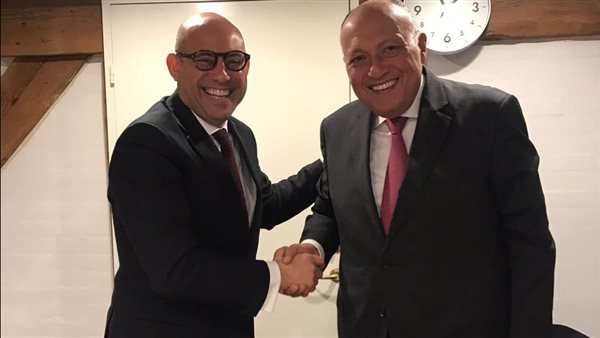  سامح شكري وزير الخارجية