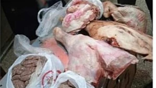 جانب من  اللقاء