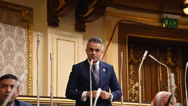 النائب أحمد فتحي