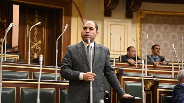  النائب عمرو درويش