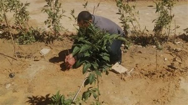 جانب من  اللقاء