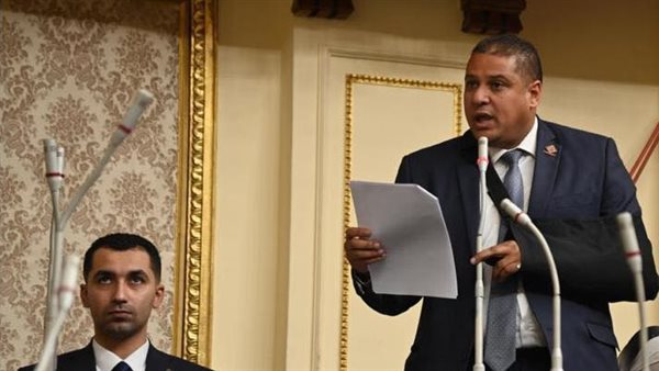  النائب محمد إسماعيل