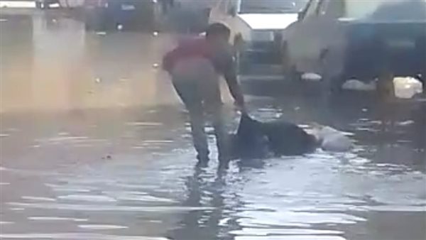 مصرع مُسن صعقًا بالكهرباء