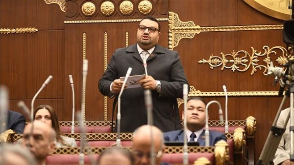 النائب محمد السباعى