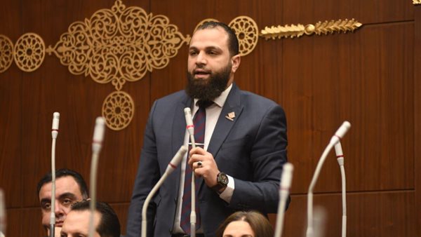 النائب محمود تركي