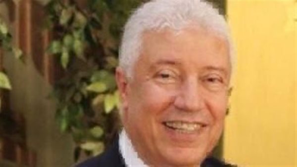 المستشار محمد بكر