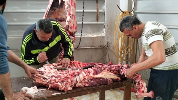 جانب من  اللقاء