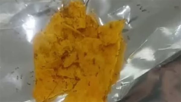 دوريتوس بالنمل 