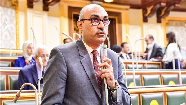 النائب ايهاب منصور