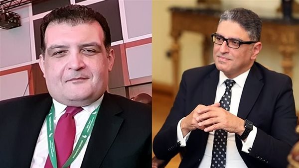 نائبى وزير الاستثمار