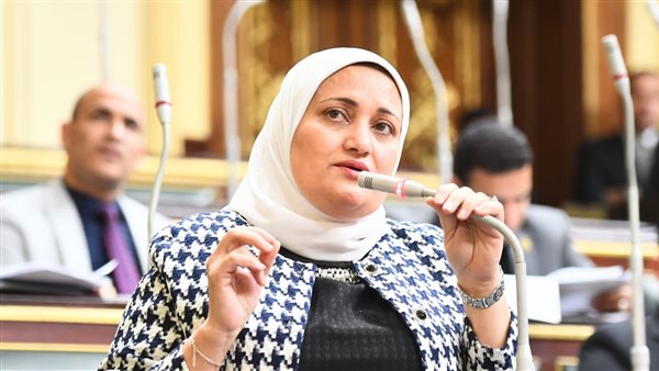  النائبة سناءالسعيد