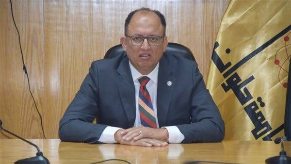 د. سيد قنديل رئيس