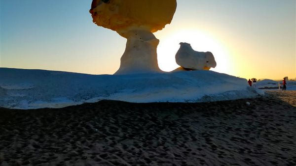 جانب من  اللقاء