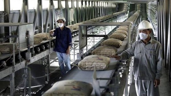 أسعار الأسمنت اليوم