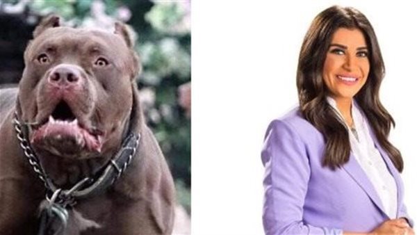 الإعلامية أميرة شنب