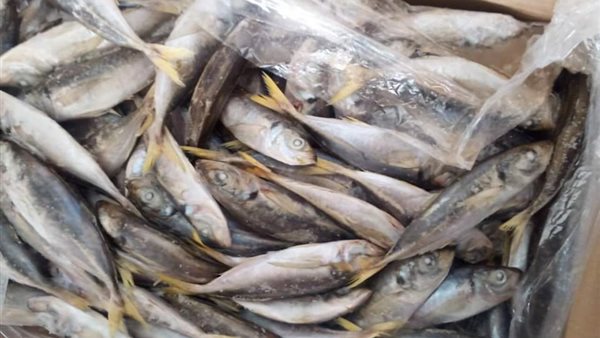 صورة من الحدث