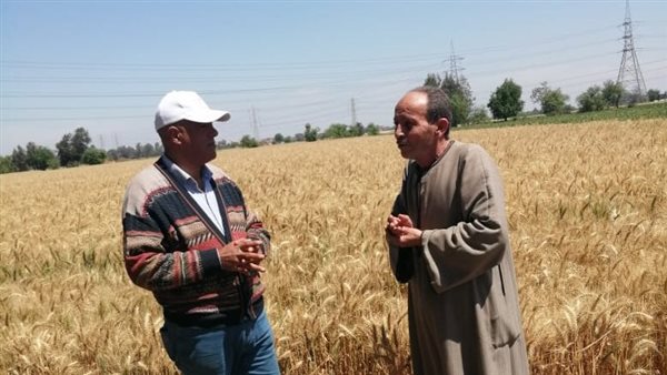 جانب من القاء