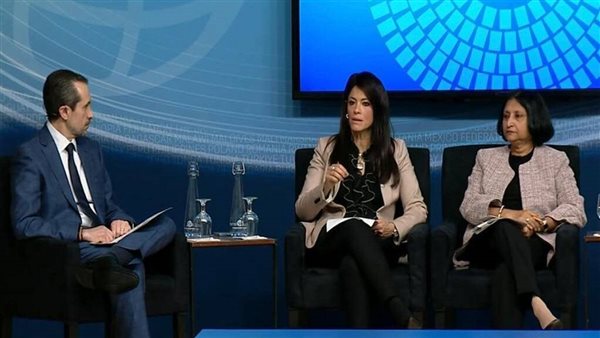 رانيا المشاط وزيرة