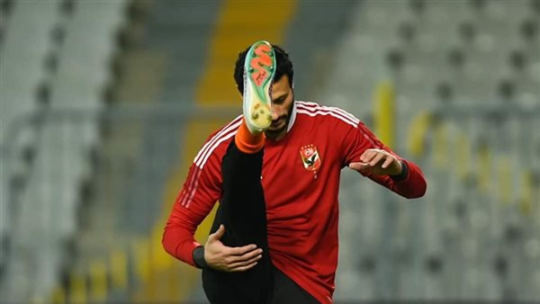 محمد الشناوي 