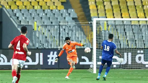 محمد الشناوي 