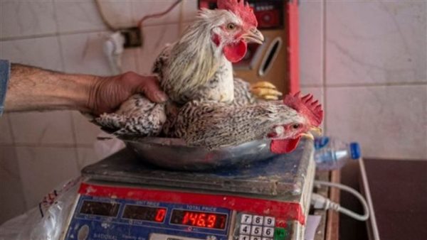 صورة ارشيفية 