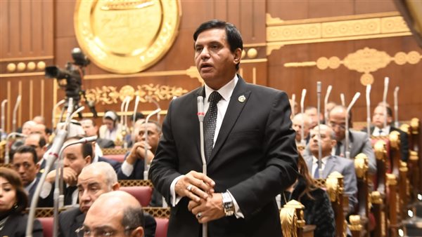 أمين عام حماه الوطن