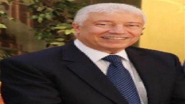 المستشار محمد بكر