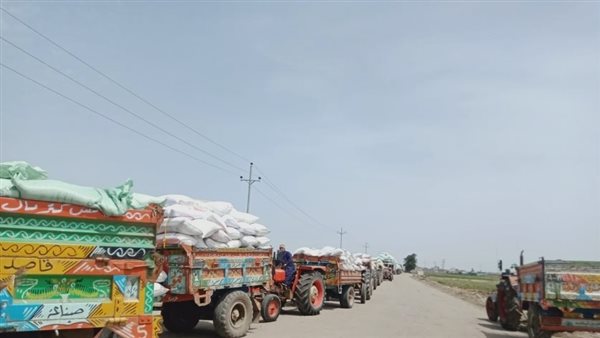 صورة ارشيفية 