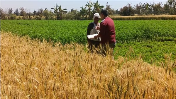 صور ارشيفية